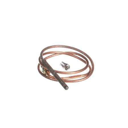 A.O. Smith THERMOCOUPLE 100108267